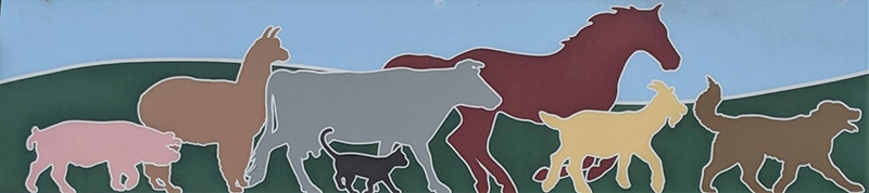 Elk-Park-Animal-Hospital-logo